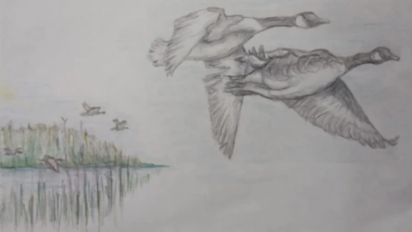 Geese lake Image