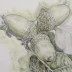Artist & Illustrator